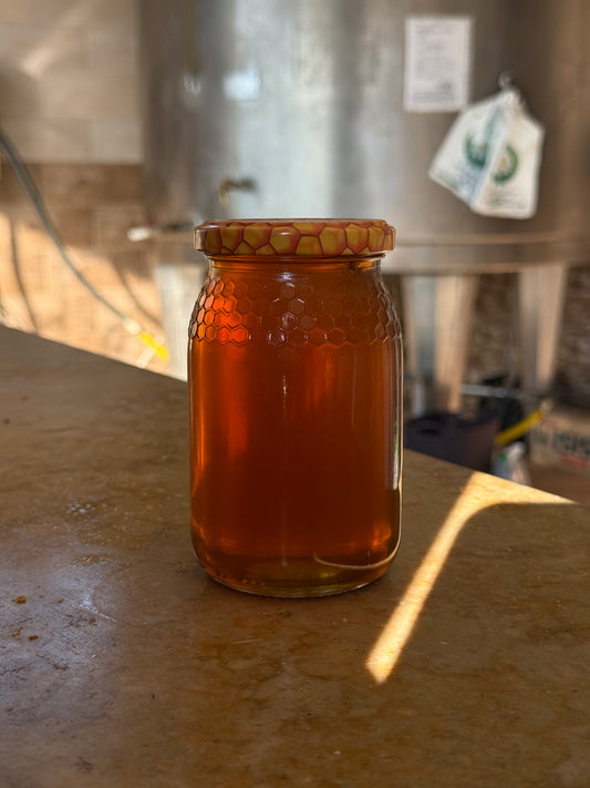 🍯 عسل جبلي نقي من جبال الشقفة – جيجل حجم 500غ 🍯